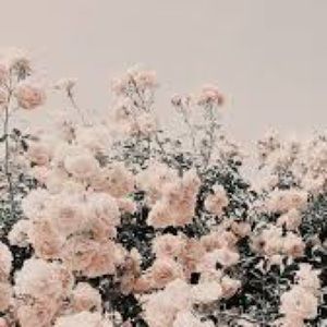 Meet your Posher, Chloe